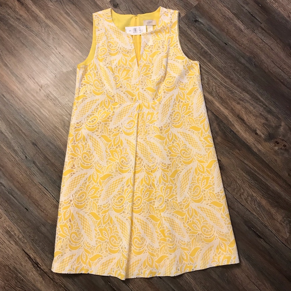LOFT • yellow and white lace shift dress Sz 6